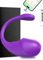 Morado 1