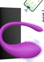 Morado 2